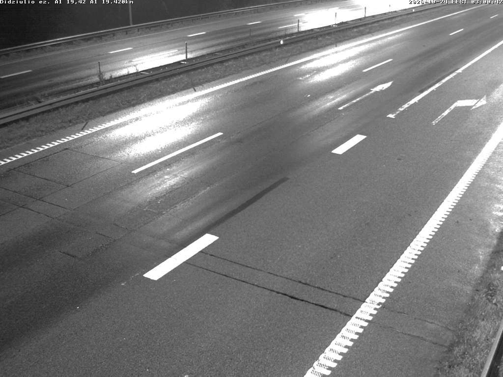 Didžiulio ež. (A1)